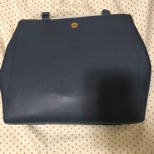 Small ash blue allyn